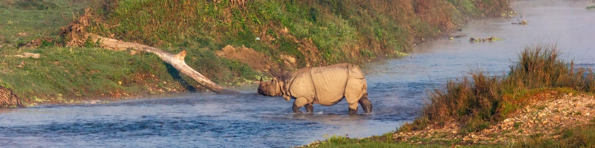 Wycieczki do Parku Narodowego Chitwan - zwiedzanie Nepalu